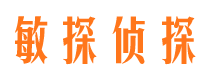 大英市侦探调查公司